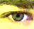 Picture Reporter icon